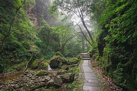 神奇小刁民/王平香兰/小说完整章节目录阅读