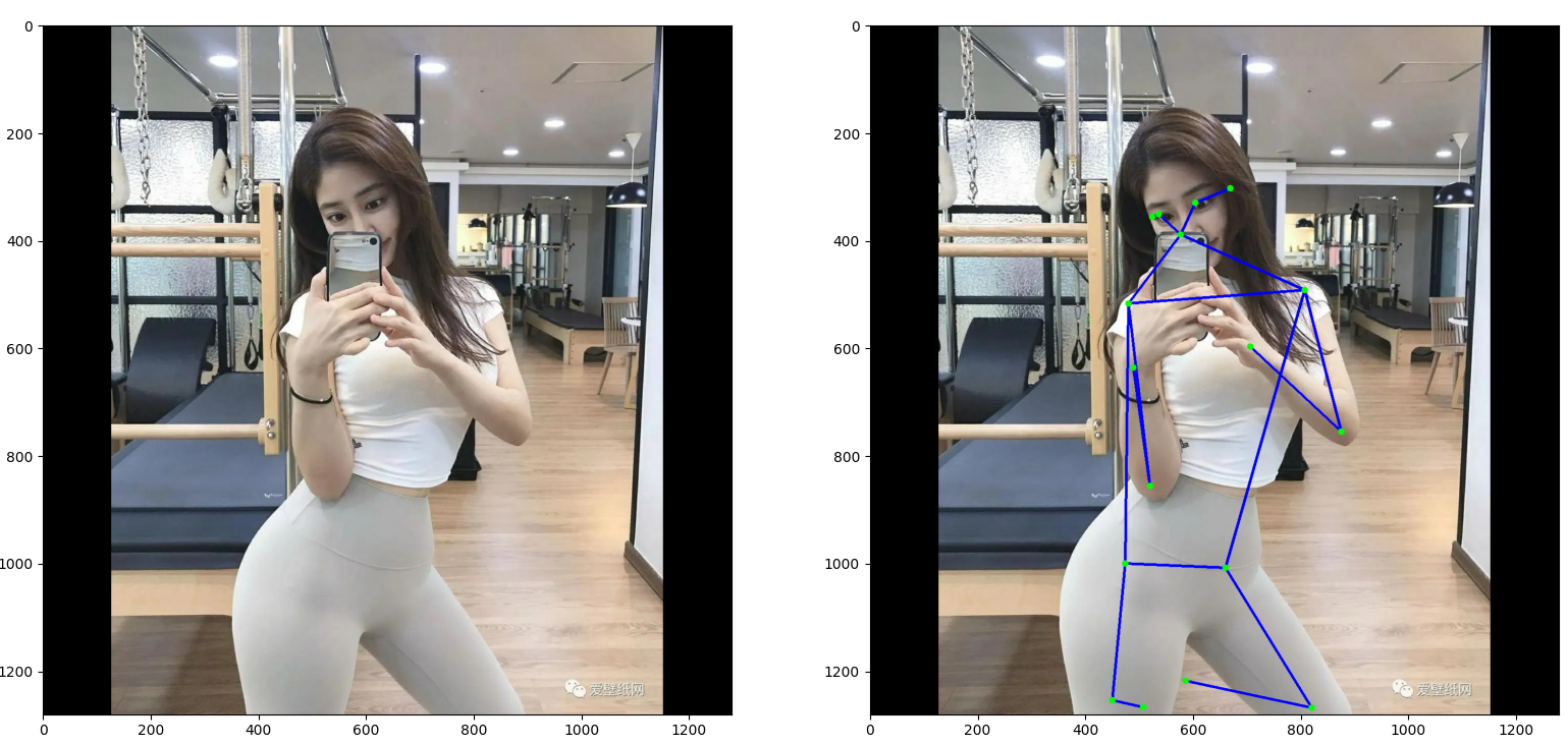 单人的姿态检测|tensorflow singlepose