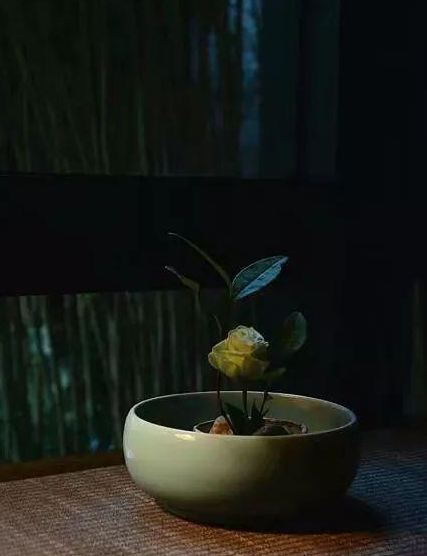微信截图_20220726160320.png