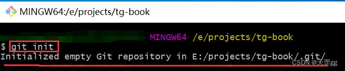 git init