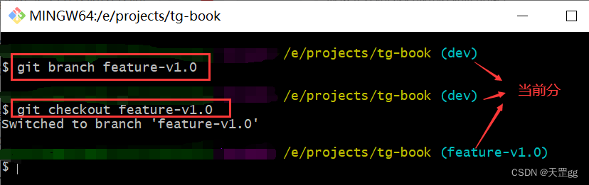 git branch和git checkout