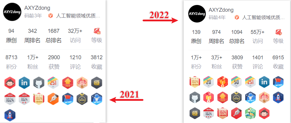 2022年终总结：不一样的形式，不一样的展现