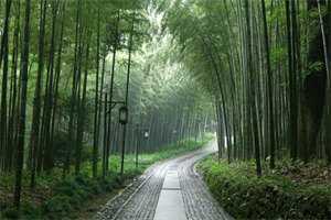 秦芷月黎霄今年热门小说（秦芷月黎霄）免费阅读全文_完结版全文小说秦芷月黎霄在线阅读