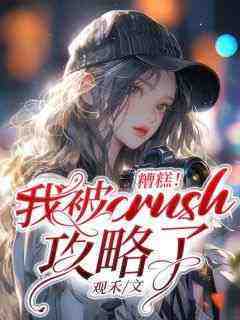 糟糕！我被crush攻略了！小说百度云完整章节列表免费阅读