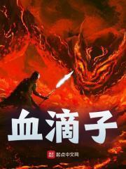 主角水衍白起小说完整版在线阅读，血滴子免费看