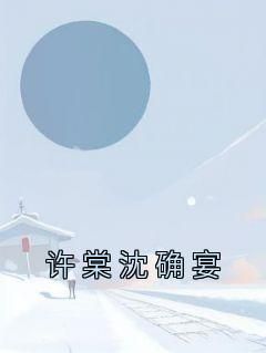 抖音小说许棠沈确宴，主角许棠沈确宴最后结局小说全文免费