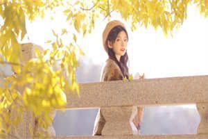 《岑悦陆焰》岑悦陆焰（大结局小说全集完整版）岑悦陆焰全文阅读笔趣阁