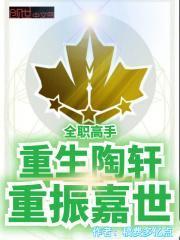 小说《全职高手：重生陶轩，重振嘉世》在线全文阅读