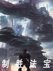制胜法宝（苏风秦奎）在线免费阅读
