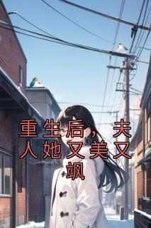 老书虫力荐《重生后，夫人她又美又飒》免费无弹窗阅读