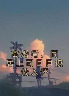 离婚后，同居上司日日撩我入怀小说(完整版)-季蓁陆屿行章节阅读