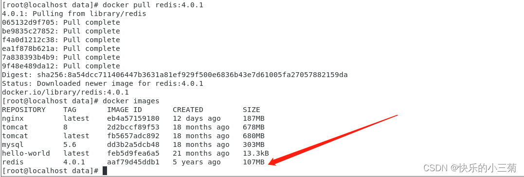 Docker 安装 Redis