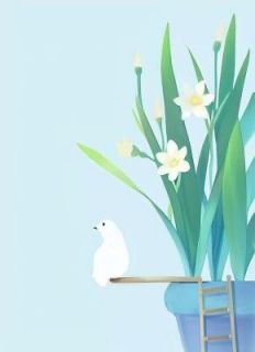 《救赎首富前夫》小说文嘉佳郑斐最新章节阅读