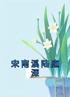 宋南溪陆庭深小说(完本)-宋南溪陆庭深无错版阅读