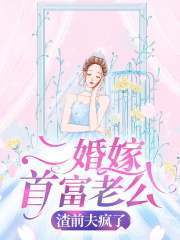 二婚嫁首富老公，渣前夫疯了免费阅读，二婚嫁首富老公，渣前夫疯了在线阅读