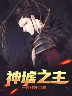 《神墟之主》洛亦夏之岚小说完整在线阅读