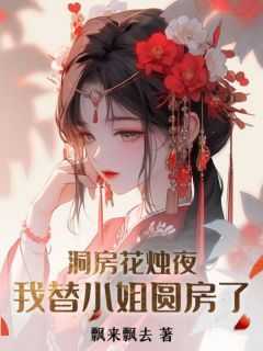 洞房花烛夜，我替小姐圆房了小说(完结版)-游小浮褚时烨在线阅读