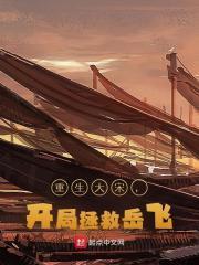 主角叫赵构岳飞小说重生大宋，开局拯救岳飞免费阅读