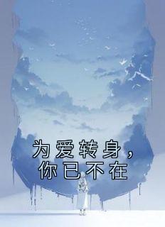 为爱转身，你已不在小说_为爱转身，你已不在小说结局阅读