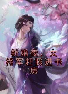 《新婚夜，女将军赶我进书房李子柒苏紫雪》新婚夜，女将军赶我进书房全文免费阅读《完整章节》