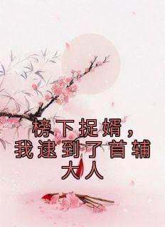 榜下捉婿，我逮到了首辅大人(新书)小说_徐清安沈燕安阅读