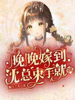 《晚晚嫁到：沈总束手就擒》小说好看吗 蒋晚沈亦最后结局如何