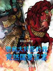 主人公叫韩武赵累的小说想做大奸臣的我竟然匡复汉室在线阅读