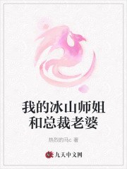 在线阅读我的冰山师姐和总裁老婆叶箫白冰小说章节目录大结局