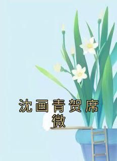 沈画青贺席微全文阅读最新 沈画青贺席微小说目录