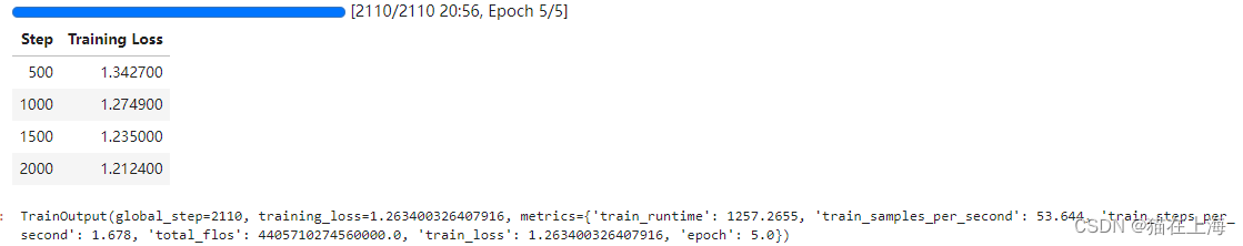 基于gpt2 finetuning 垂直领域 ai 代码写作 案例