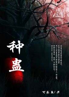 书荒必备珍珍楠楠小说