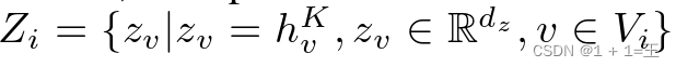 Zi = { zv | zv = hKv，zvRdz，vVi }。