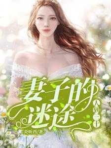 丁亦同何紫云小说在哪里可以看