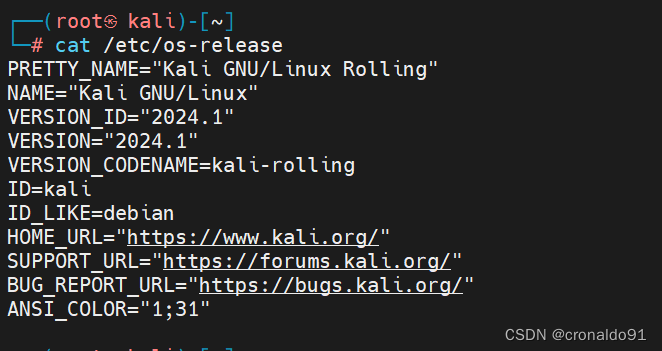 网络安全： Kali Linux 使用 nmap 扫描目标主机