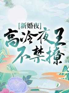 完结版《新婚夜，高冷夜王不禁撩》免费阅读