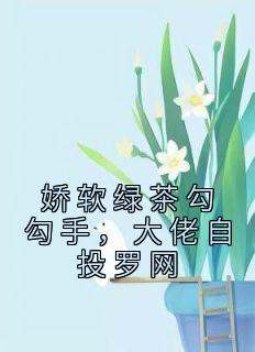 《娇软绿茶勾勾手，大佬自投罗网》（秦悦孟序）精彩小说目录阅读