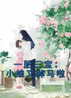 一胎三宝：小娘又掉马啦(穆沅穆仟)全文章节在线阅读
