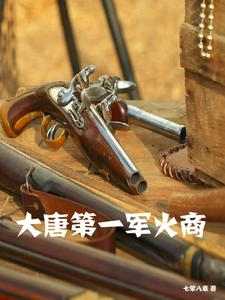 大唐第一军火商小说的免费阅读版本在哪里可以找到？