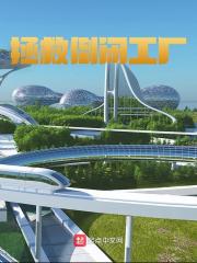 苏煌柳千黛小说（拯救倒闭工厂）无删减版阅读