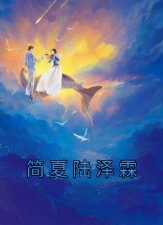 简夏陆泽霖简夏陆泽霖大结局在线阅读