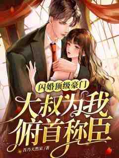 《闪婚顶级豪门，大叔为我俯首称臣》苏淮顾云爵全章节目录免费阅读