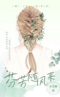 《芬芳随风来》李淑芬陆乘风-小说未删减阅读