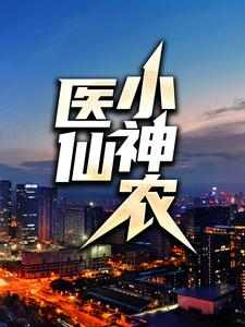 主角叫叶晨洛冰月尼古拉斯小说医仙小神农章节免费阅读