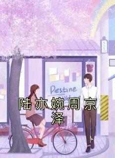 抖音小说《陆亦婉周京泽》主角陆亦婉周京泽全文小说免费阅读