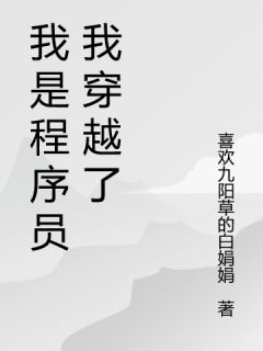 正版小说《我是程序员我穿越了》禹珈赵畅畅在线免费阅读