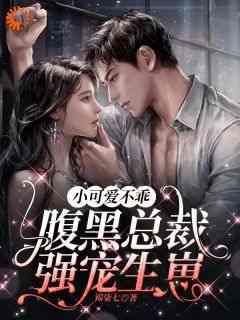 抖音爆款《小可爱不乖，腹黑总裁强宠生崽》苏恒沈竟舟无广告阅读