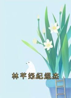 爆款小说林芊妤纪煜杰-主角林芊妤纪煜杰在线阅读