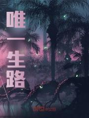 唯一生路小说，唯一生路王凡李长风
