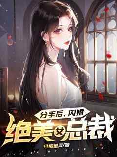 叶枫杨倩倩《分手后，闪婚绝美女总裁》全文(叶枫杨倩倩)章节免费阅读
