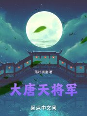 大唐天将军小说无删减在线免费阅读